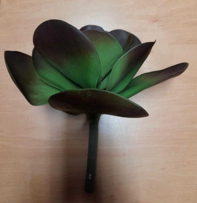 Planta artificial suculenta