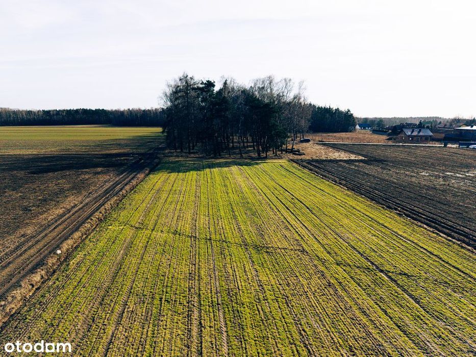 Ostatnia działka w Nowym Bedoniu