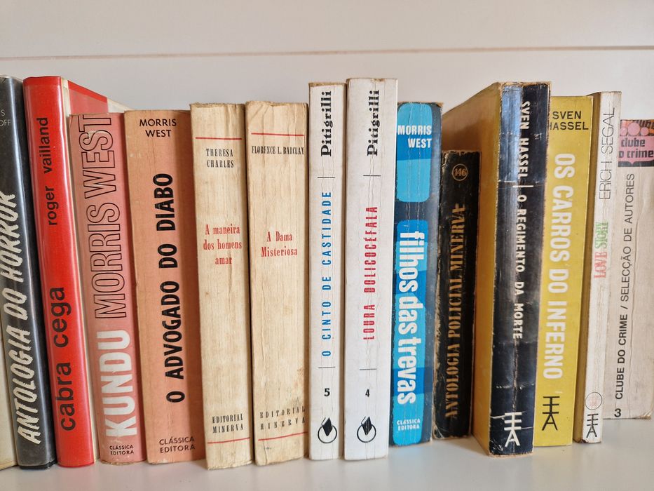 Lote 34 livros Romances/Policiais