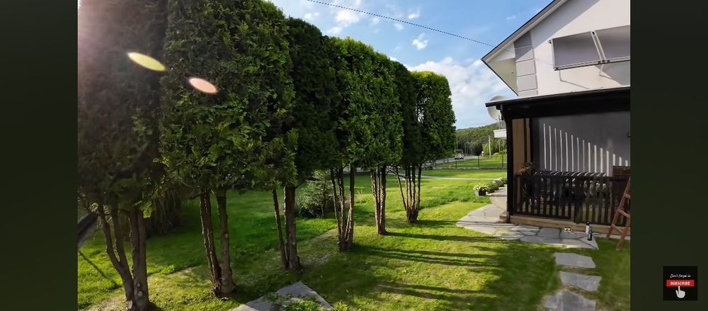 Formowanie krzewów, przycinanie żywoplotów, drzew owocowych.