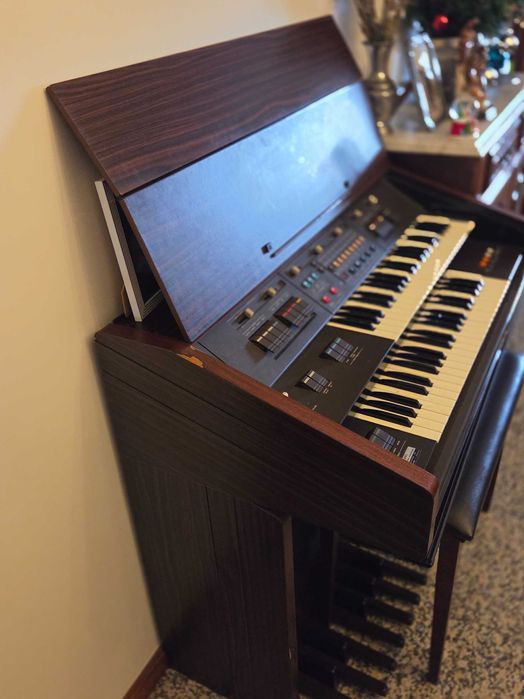 Órgão Bontenpi 2 teclados e banco