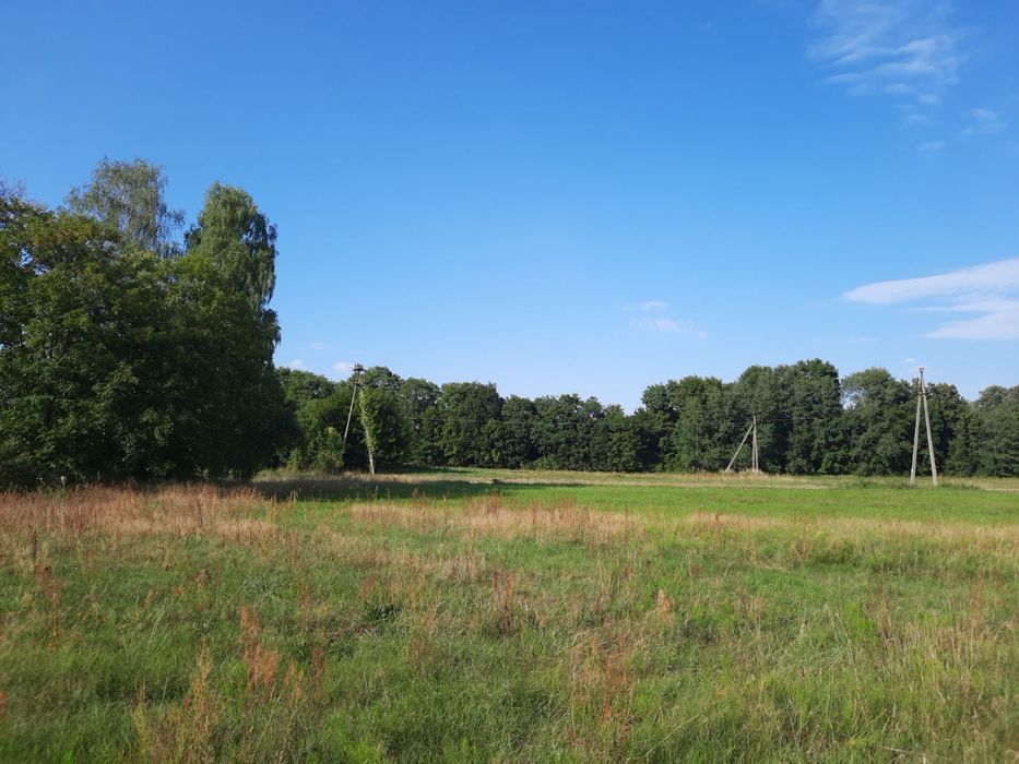 działka budowlana– 1836 m² – Bruliny, gm. Świercze - Widok 5