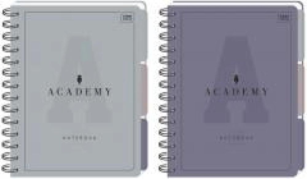 Kołozeszyt A5/100K kratka Academy mix INTERDRUK folia,170x214 mm