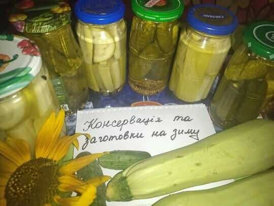 Приму в Дар овощи: кабачки, патисоны, перец, баклажаны, цукини.