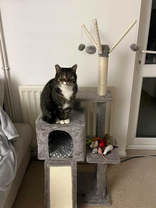 Drapak legowisko domek wysoki dla kota słupek do drapania NOWY 118 cm