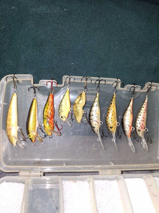 Woblery Pstrąg,Troć