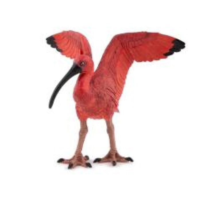 Ibis szkarłatny ,79x66 mm