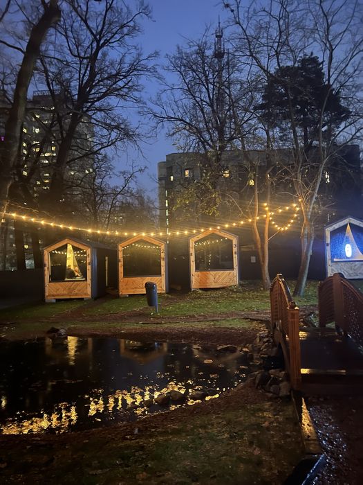 Подобова оренда будинку Київ