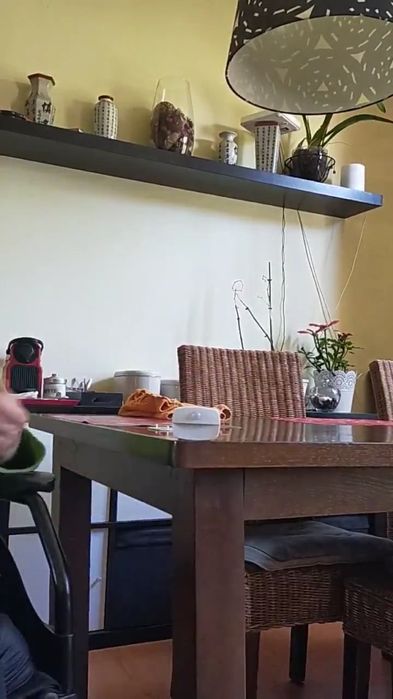 Mesa de Sala de jantar, cor wenge