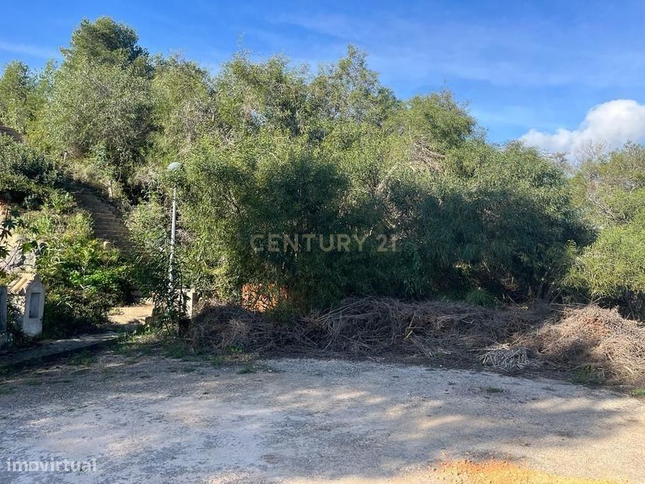 Não Perca Esta Grande Oportunidade!