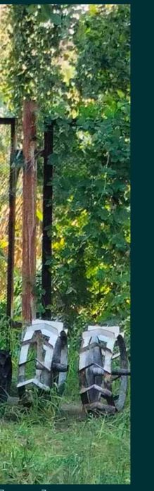 Грунтозацепы до мотоблока