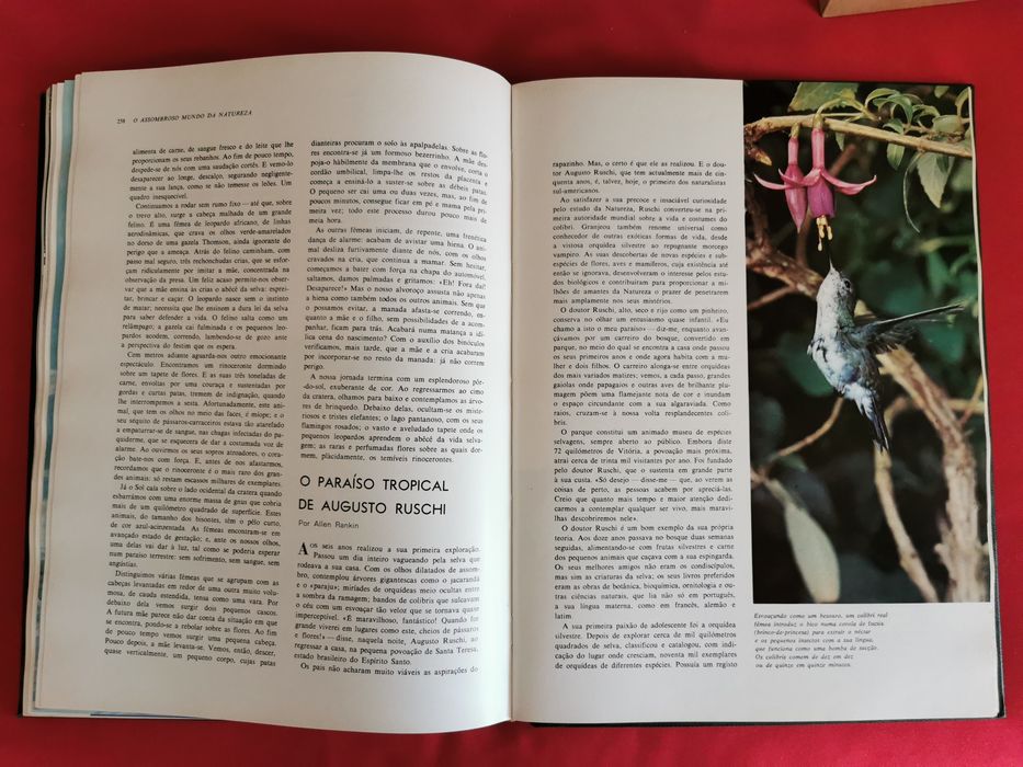 Livro - O Assombroso Mundo da Natureza