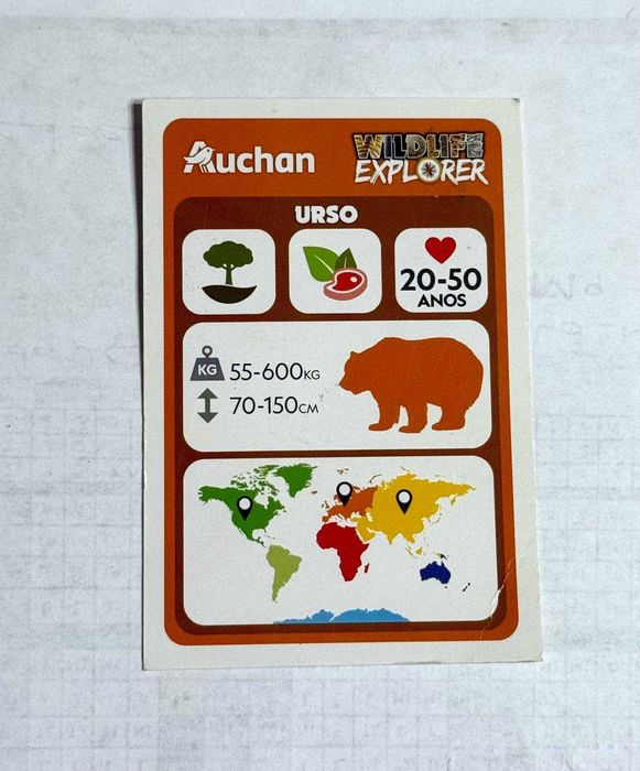 3 Cartas National Geographic Kids - Tigre & Urso