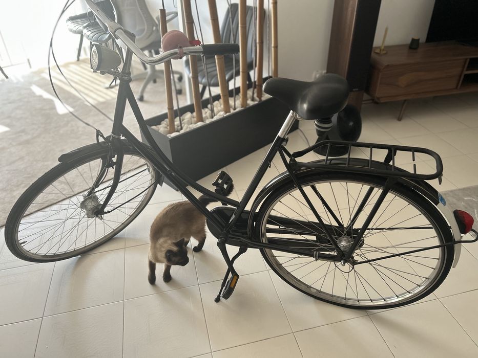 Bicicleta de cidade