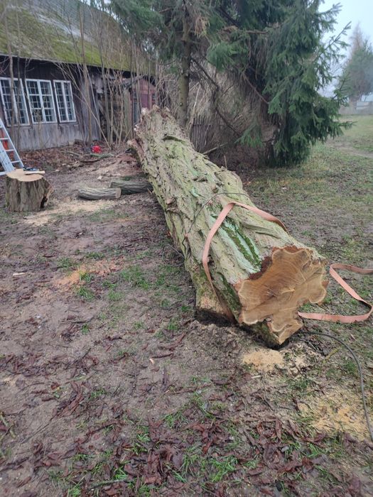 Wycinka drzew działek Mycie wysokociśnieniowe rębak Pracę porządkowe P
