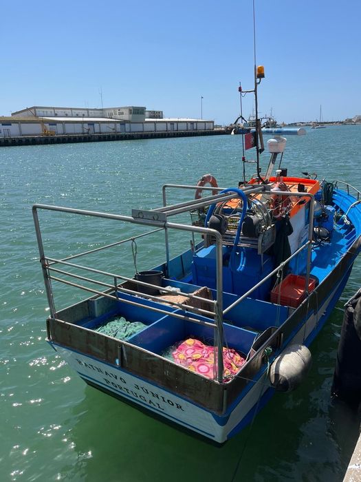 Embarcação de pesca profissional
