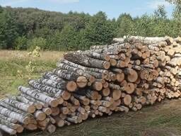 Твердо паливна деревина