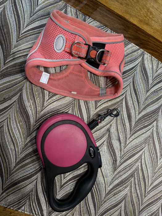 Zestaw dla nalego psa szelki xs smycz automatyczna