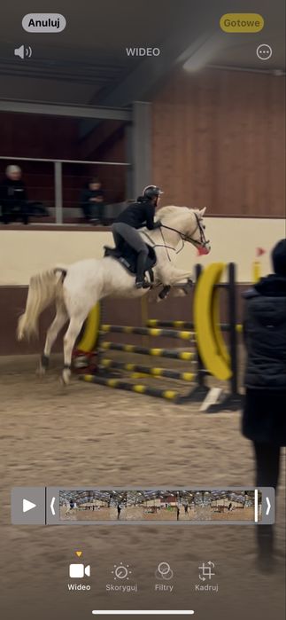 Siodlo Wintec 250, cena do KOŃCA MIESIĄCA