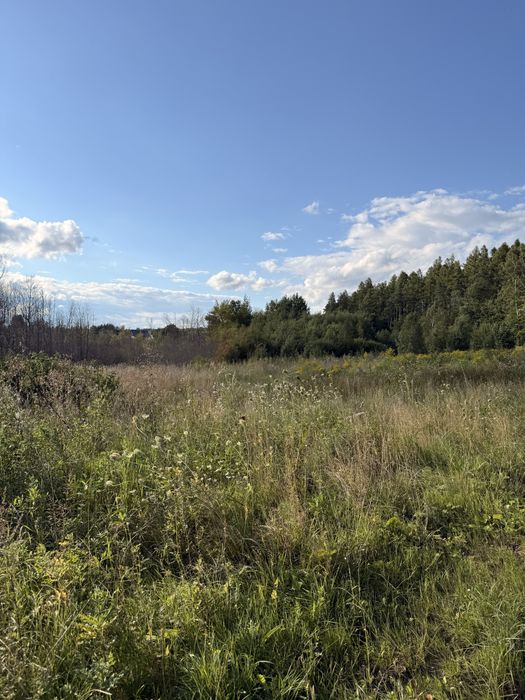 Działka budowlana 1 ha - Widok 5