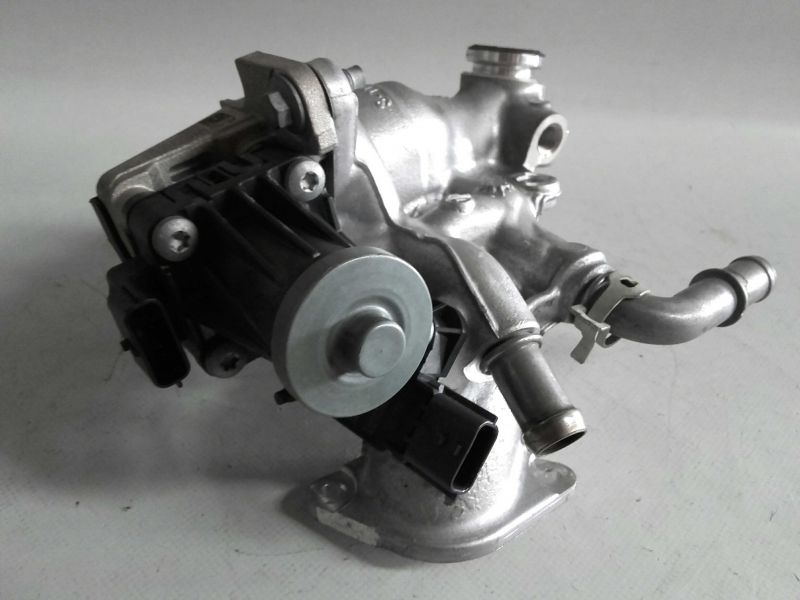 Válvula EGR RENAULT Clio IV (BH_)