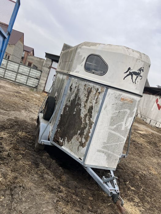 Przyczepa dla koni przyczepka tandem