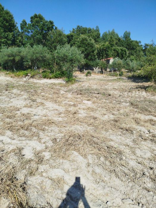 Horta agrícola em Alcains