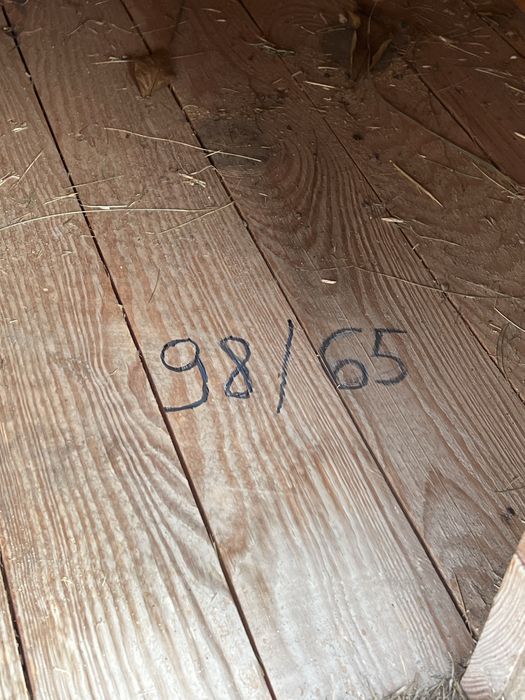 Buda dla psa solidna