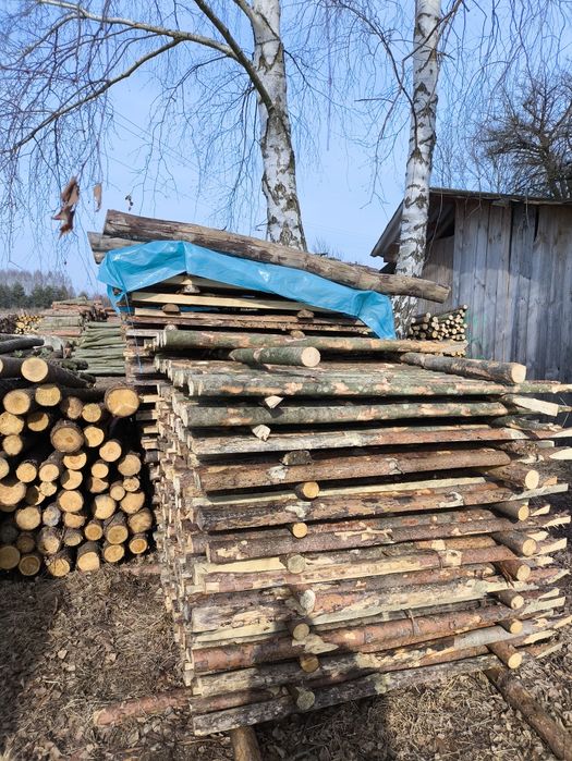 Paliki do pomidorów kołki 150cm tanio