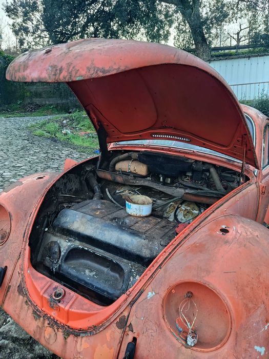 VW Beetle/Carocha 1.3