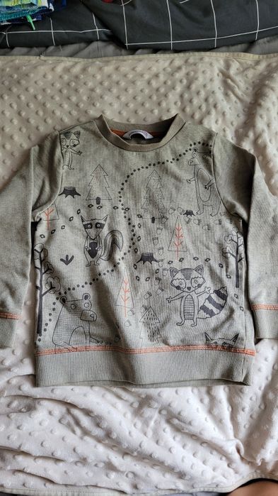 Bluza coccodrillo szara