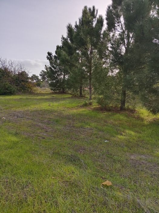 Terreno 300m2, 5mil euros de entrada