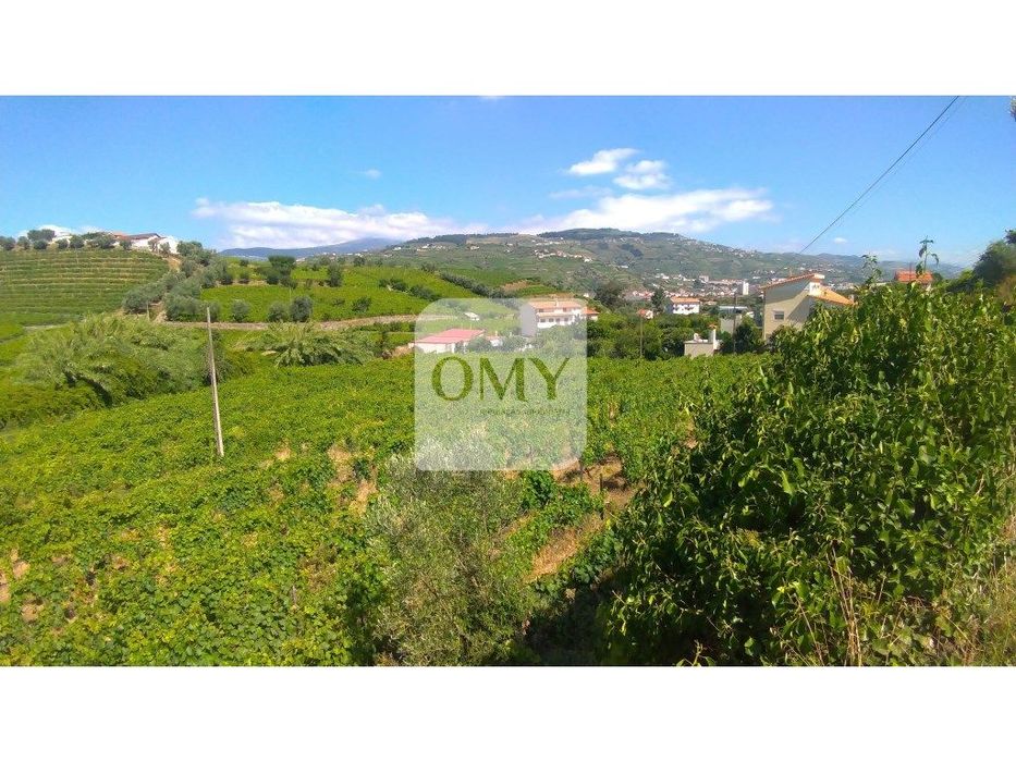 3 Lotes Contíguos para Construção de Moradias a 6 Km do Peso da Régua