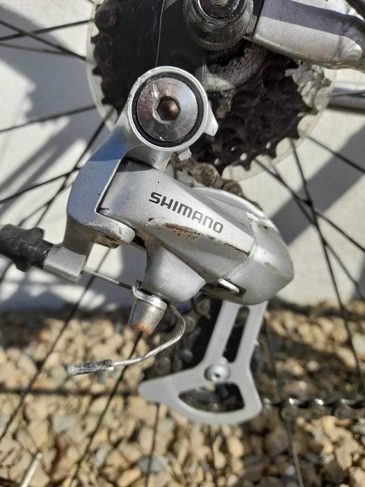 Rower Specialized Dolce