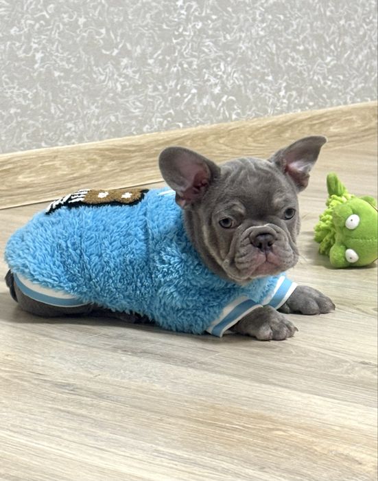 Кохання з першого погляду!