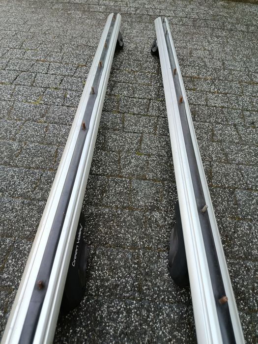 Belki dachowe Taurus