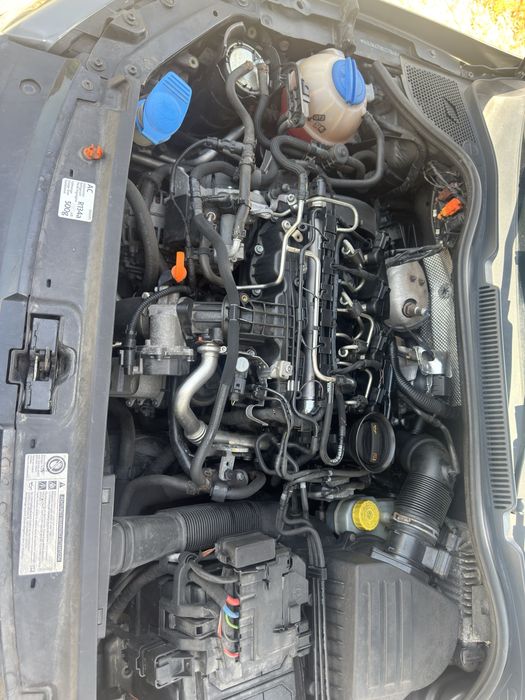 Volkswagen Polo 2011 1.6 TDI Bluemotion