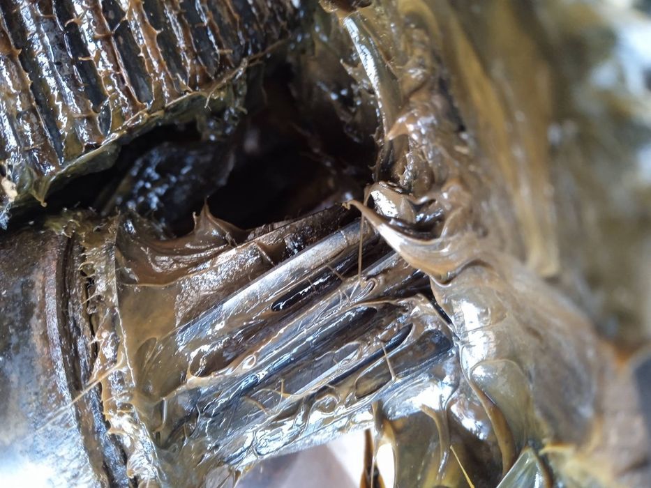 Редуктор ц2у100-25 цилиндрический мото