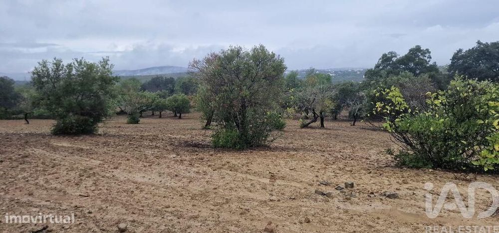 Terreno Agrícola em São Brás de Alportel de 3400,00 m2