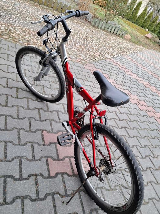 Rower górski 24"