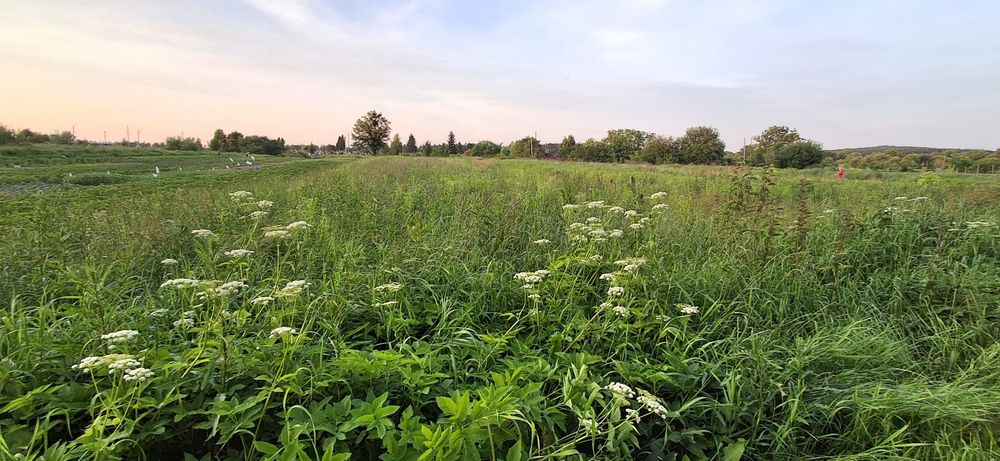 Продаж 12соток землі,Львів