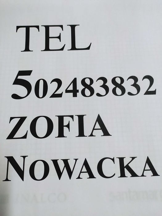 Wynajmę Mieszkanie Noclegi Pokoje pracownicze Parking Gostyń 30zł