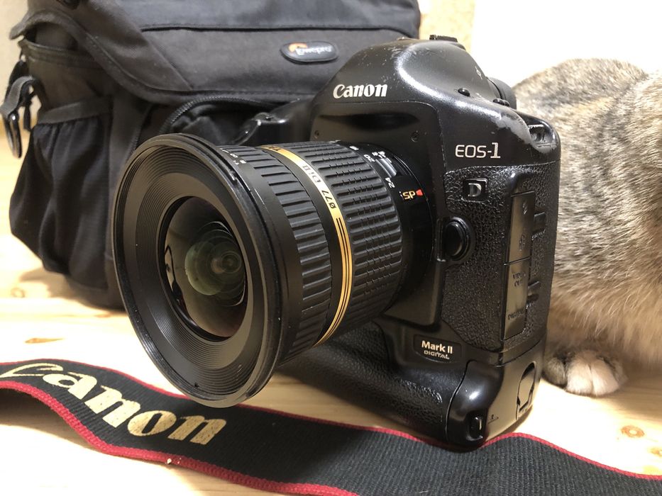 Canon 1D mark ii  та Tamron 10-24mm