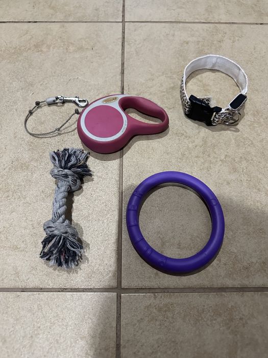 Рулетка поводок