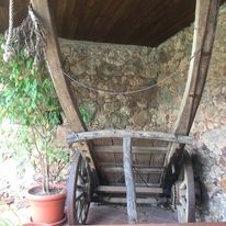 Carro de boi Beira Litoral