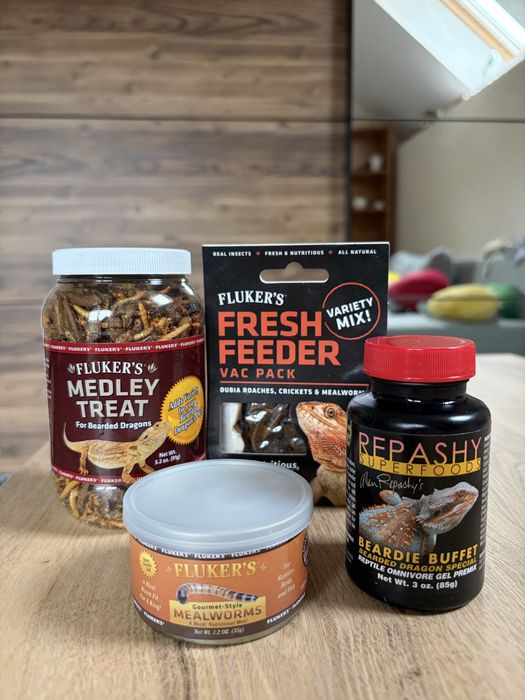 Caly zestaw dla Agamy brodatej