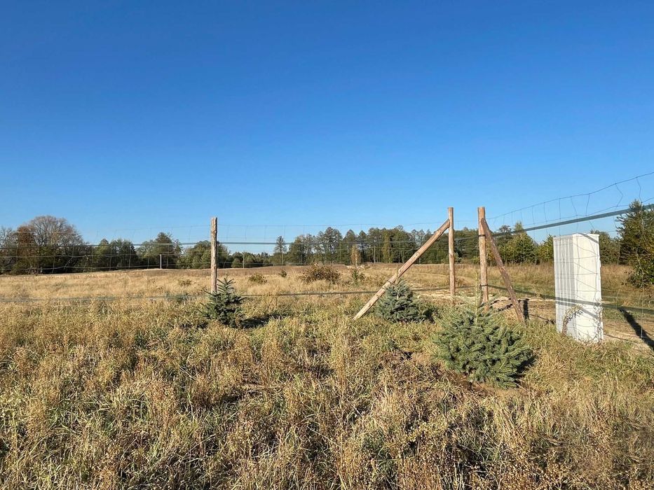Działka budowlana WZ z prądem, 23km od Wyszkowa gm. Długosiodło - 976m