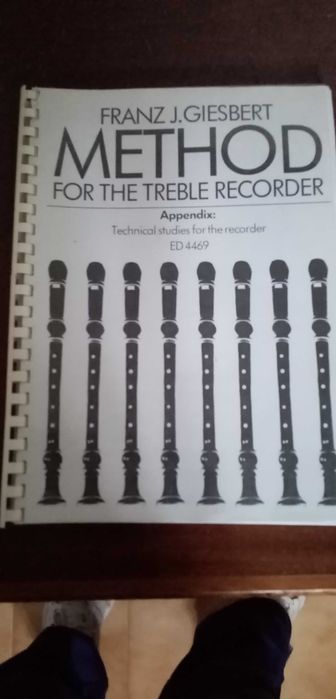 Manuais de métodos de flauta de bisel e formação musical