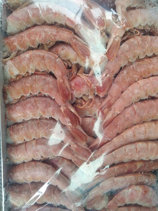 Лангустини Аргентина без голови