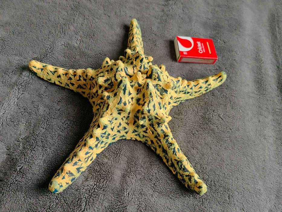 Duża rozgwiazda malowana farbami olejnymi